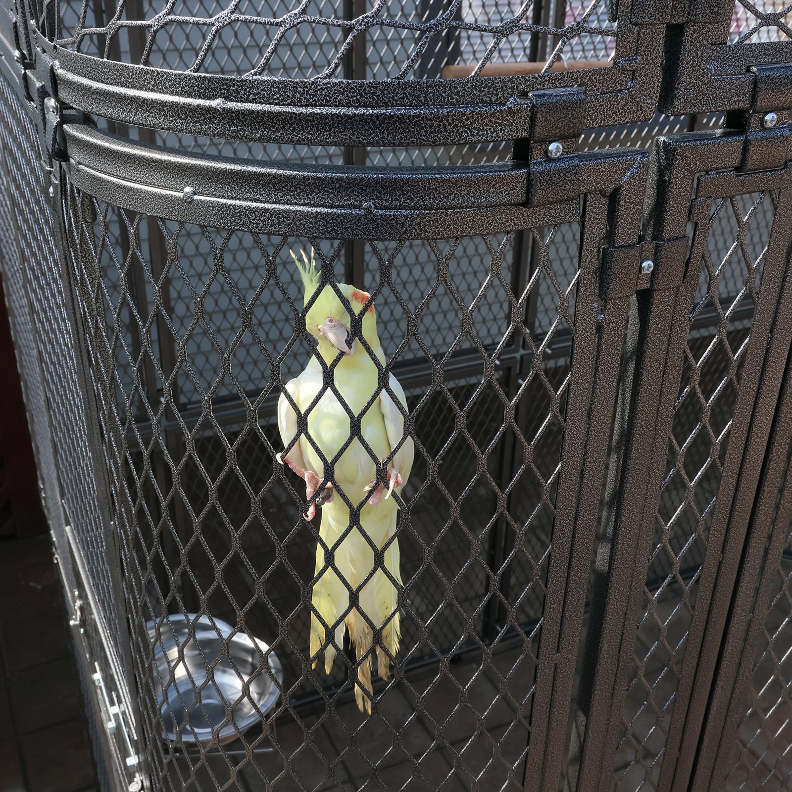 Large Walk-in Silver Flight Bird Cage Aviary Parrot Macaw Finch Metal Aviary