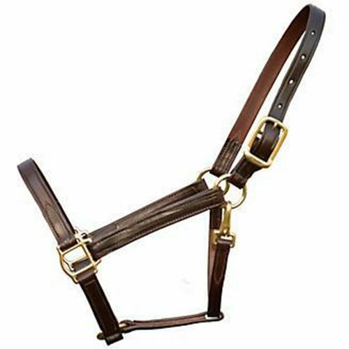 Walsh Heritage Leather Halter