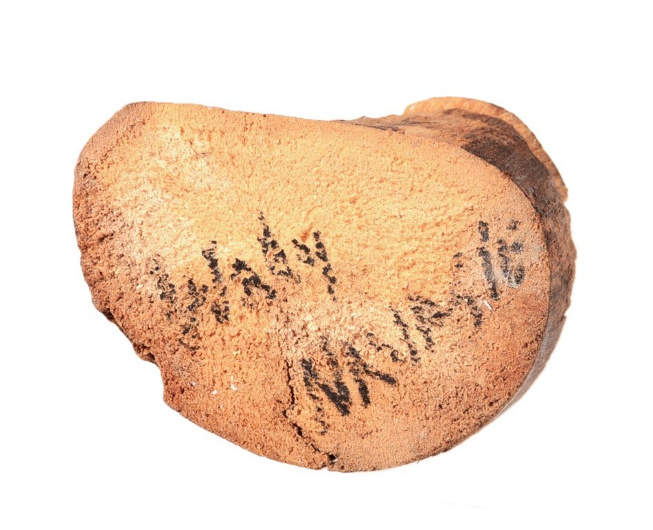 Hopi Kachina Maiden Doll By Wally Navasie Late 20th Century