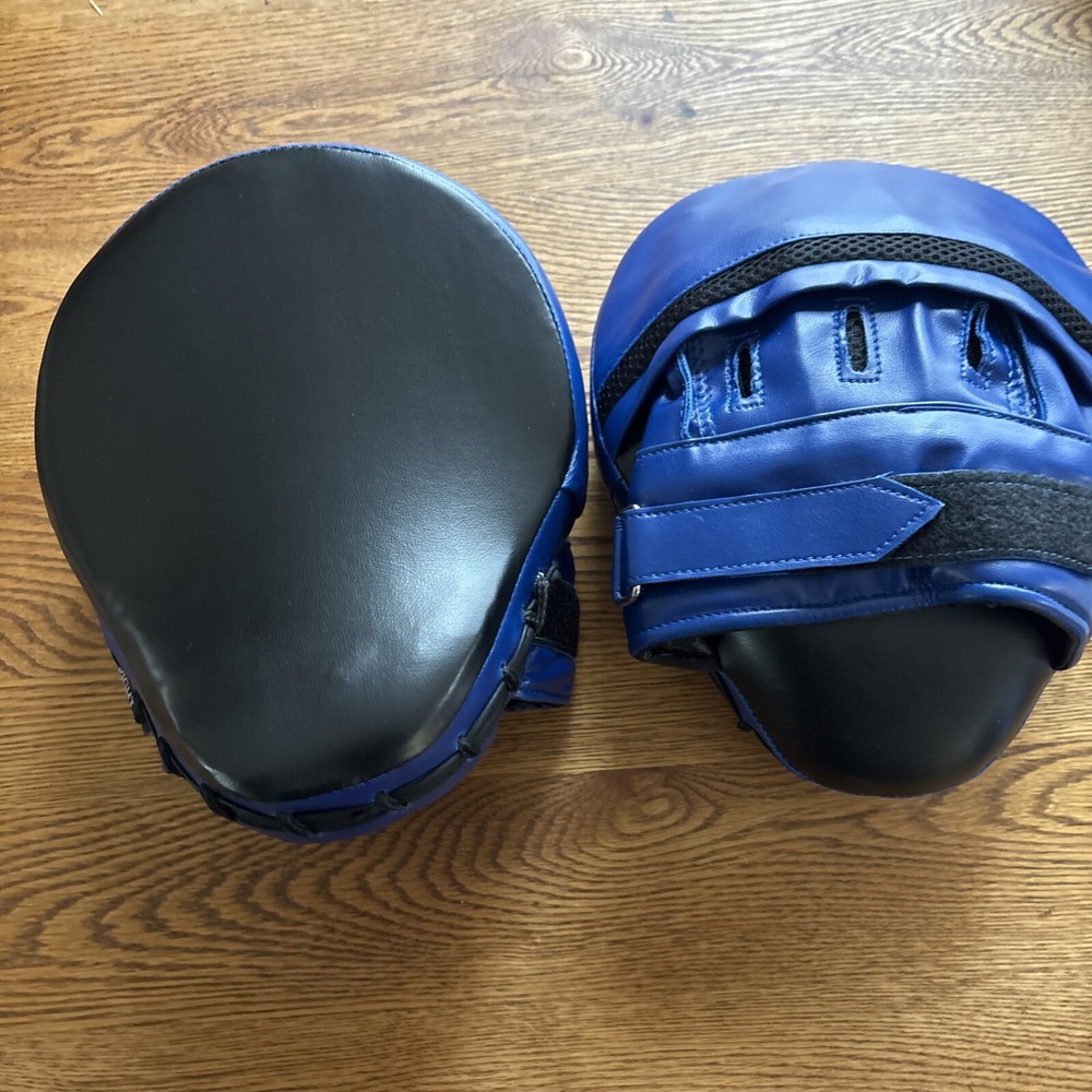 Focus Mitts