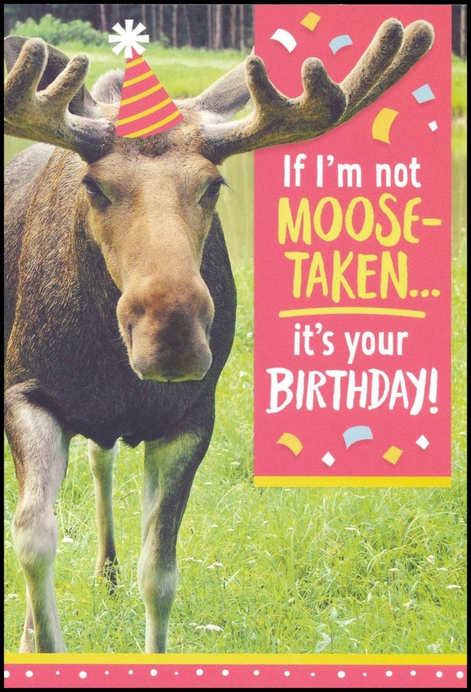 Birthday Greeting Card - Moose - HM0004