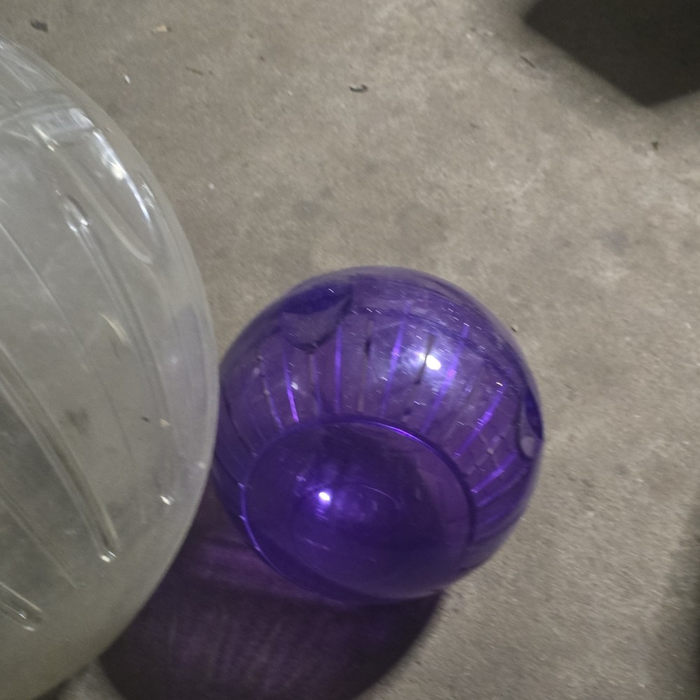 Clear, Purple, Yellow Plastic Exercise Balls for Gerbils