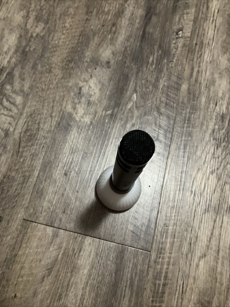 Karaoke Microphone