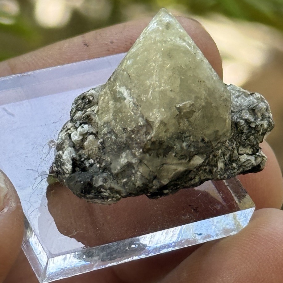 18 Grams Herderite On Matrix