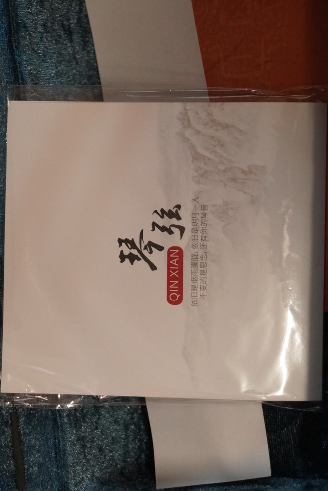 Unlabeled Violin with Case