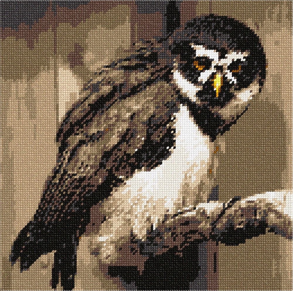 Spectacled Owl Needlepoint Kit or Canvas