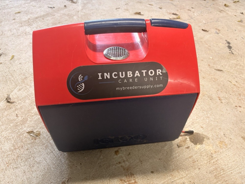 Portable Puppy Incubator