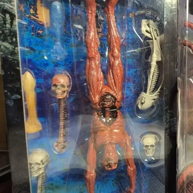 Neca Predator Accessory Pack Unopened Official