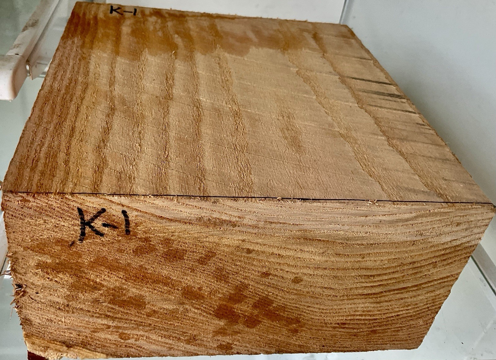 Kentucky coffee Bean fresh cut green Bowl Blank 1-pcs. 4 1/4”x8 1/2”x9” K-1