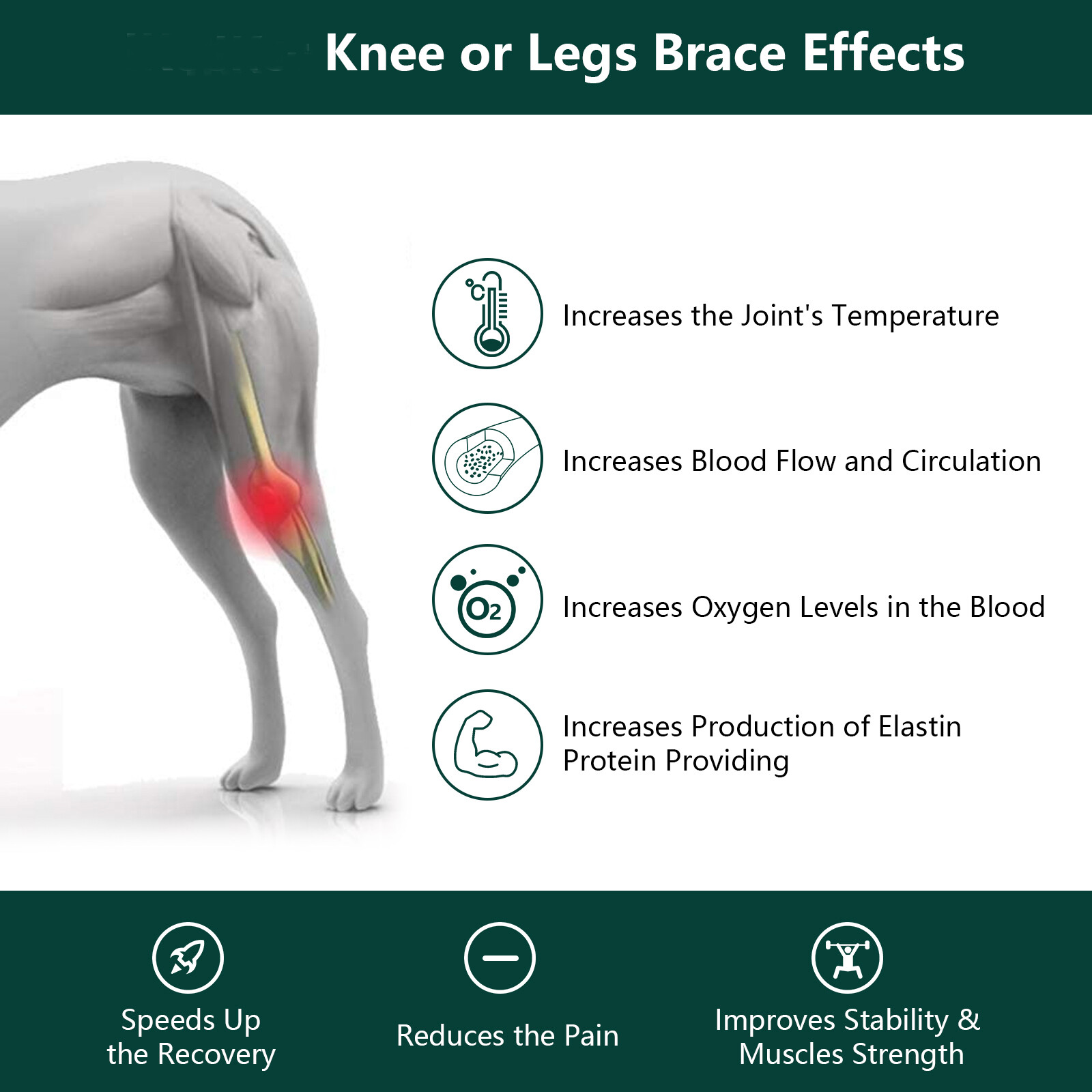 Vet Soft Laser Therapy device For Pet Cat Dog Horse Pain Relief 650 / 808 nm NIR