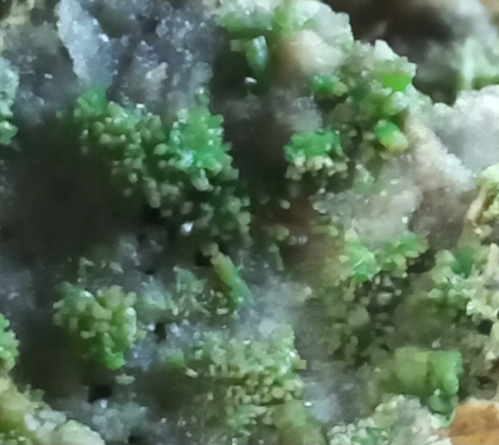 Pyromorphite Sardinia