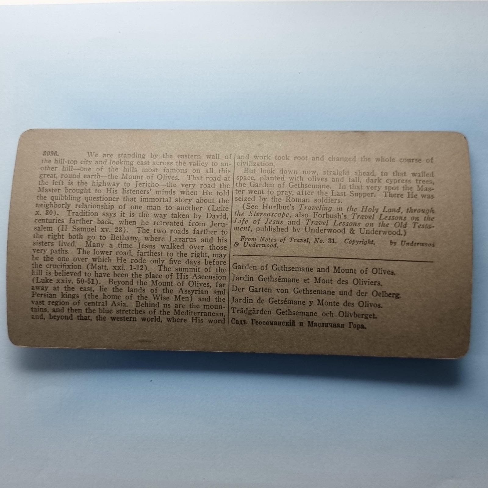 Jerusalem Palestine Stereoview C1900 Real Photo M.East Garden Of Gethsemane