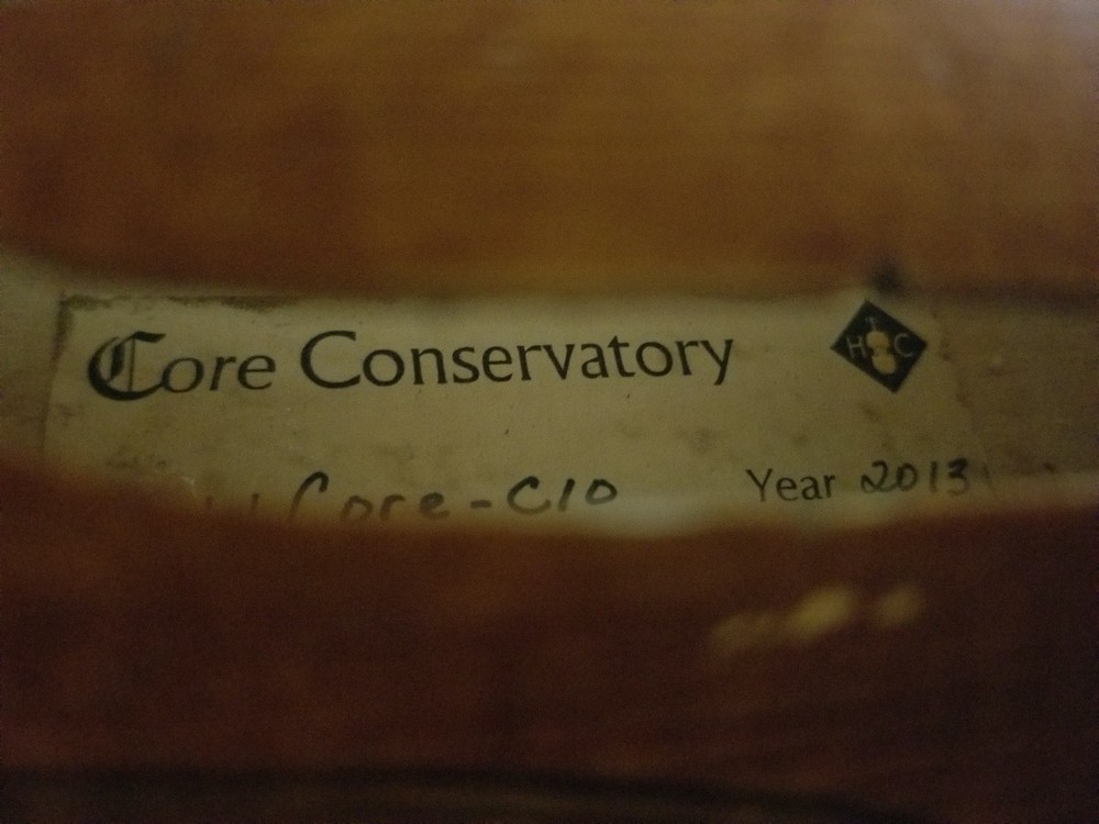 Core C10 Conservatory Violin