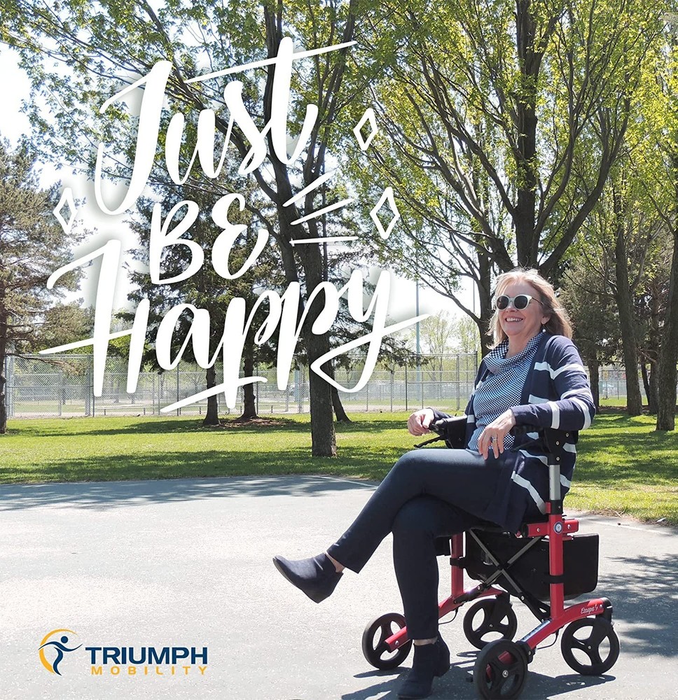 Triumph Escape (Medium (21" Seat Height))