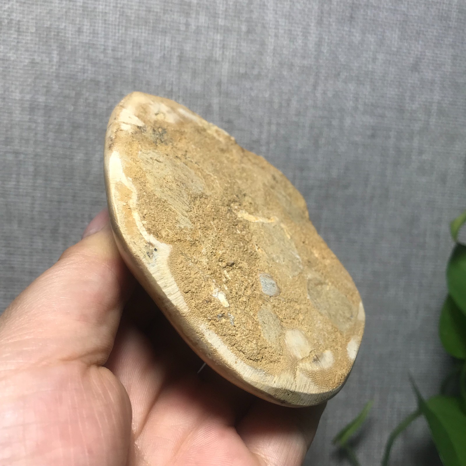 226g Starfish Crystal Specimen 01