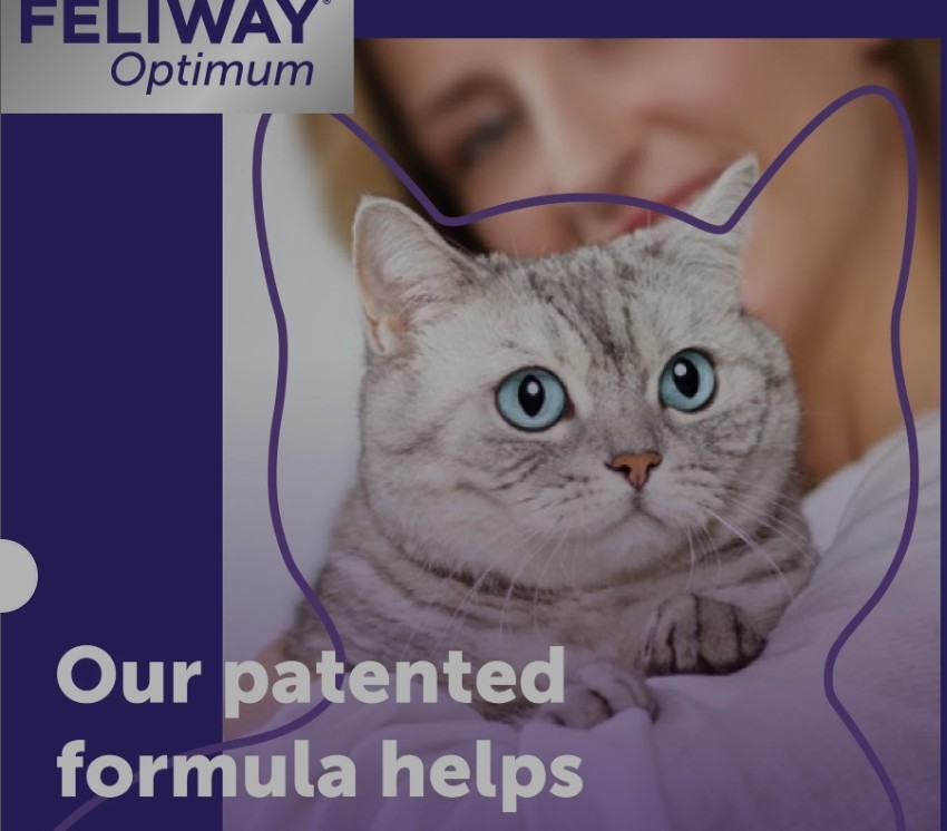 TWO BOTTLES Feliway Optimum 30 Day Diffuser Refill 48 ml Two bottles
