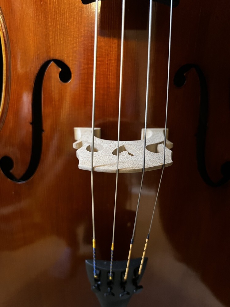 Strobel MC-500 Cello New