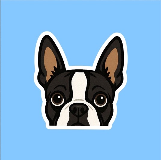 Boston Terrier Peeking Sticker