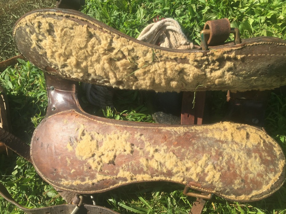 mcclellan cavalry saddle 12 In Seat