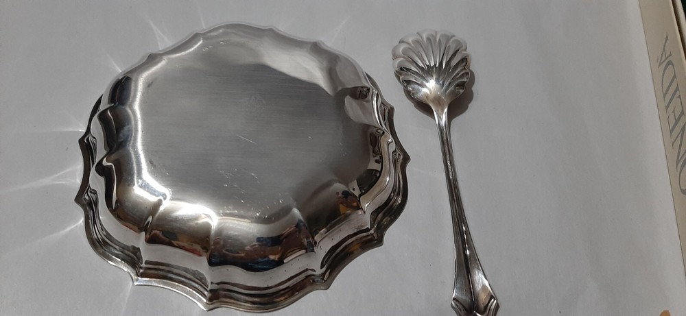 Oneida Silverplate Hostess Server & Spoon in box