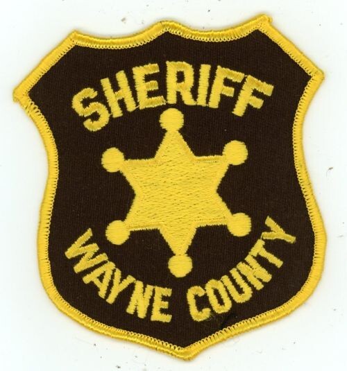 MICHIGAN MI WAYNE COUNTY SHERIFF NICE SHOULDER PATCH POLICE