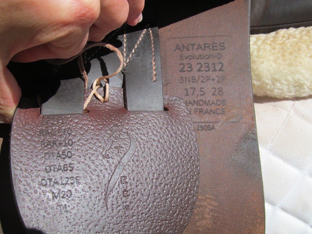 17.5" ANTARES EVOLUTION D buffalo close contact jumping saddle-2023 MODEL!!!!