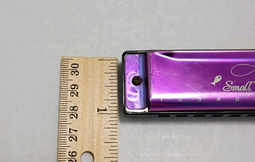 Small Fish Beginners Harmonica Harp 10 Hole Diatonic 10 Hole
