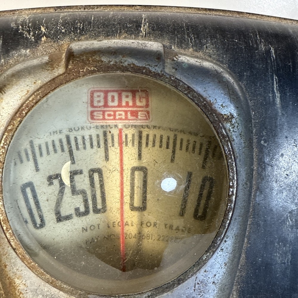 Vintage Borg scale