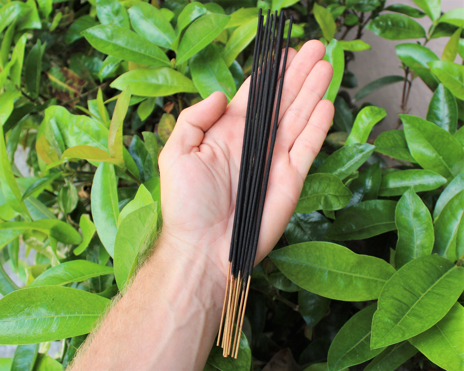 Gonesh Premium Incense Sticks 20 Pack: Choose Scent BUY 4 GET 4 FREE (8 IN CART)