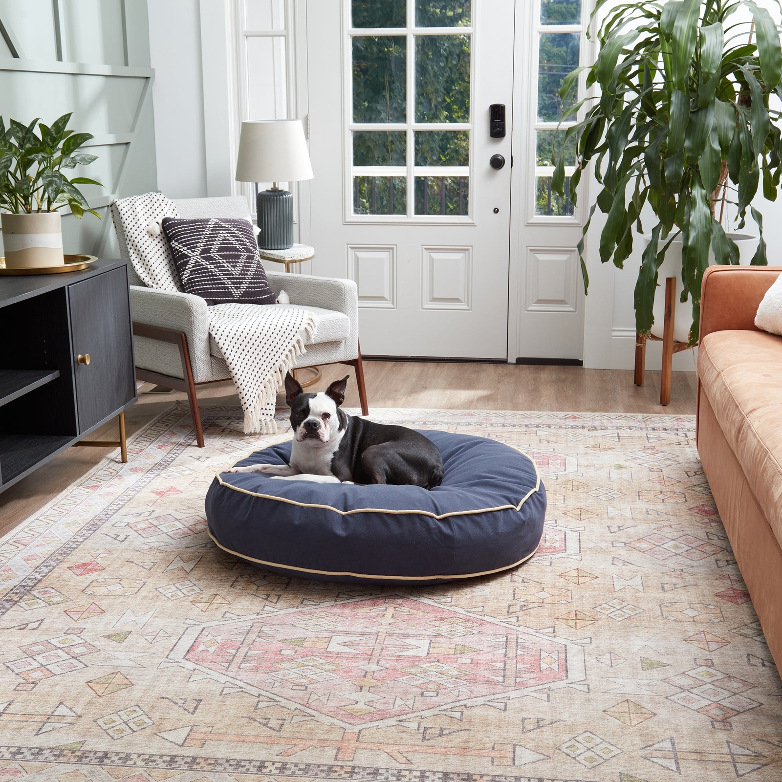 Scout Deluxe Round Microfiber Pillow Dog Bed