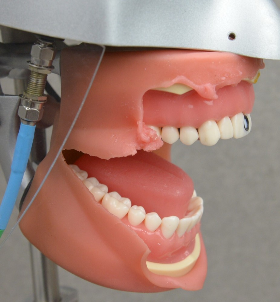 BlueLight Analytics Marc Patient Simulator Light Resin Curing Trainer