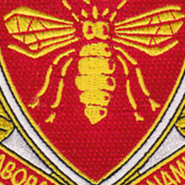 439th Engineering Battalion Patch