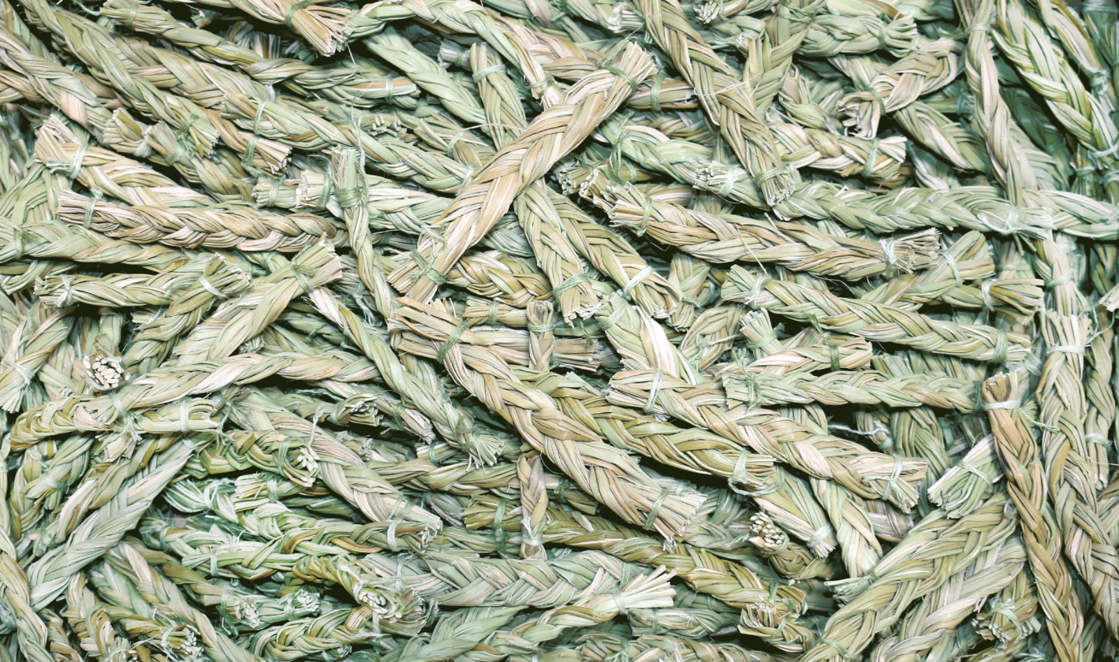 Sweet Grass Braids 4-5" Bulk for Positive Energy Smudging and Cleansing