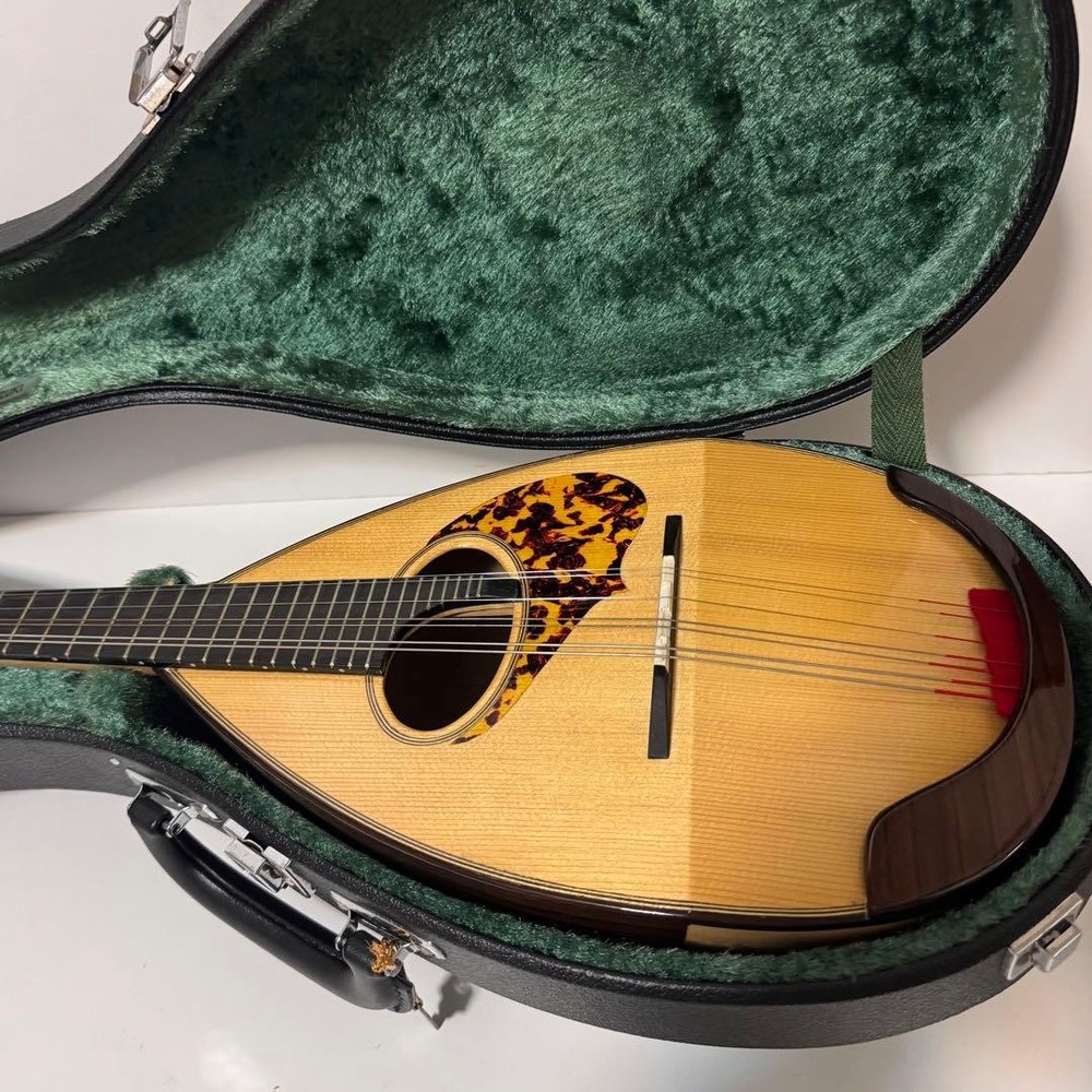 Good condition MONOPIA Mandolin with hard case included