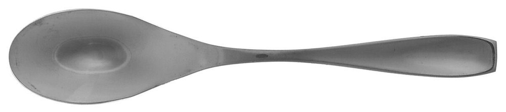 Oneida Silver Calm Place Oval Soup Spoon 7087653