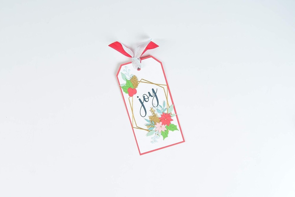 Sizzix Thinlits Geometric Winter Frame Cutting Dies by Olivia Rose 664583 NEW