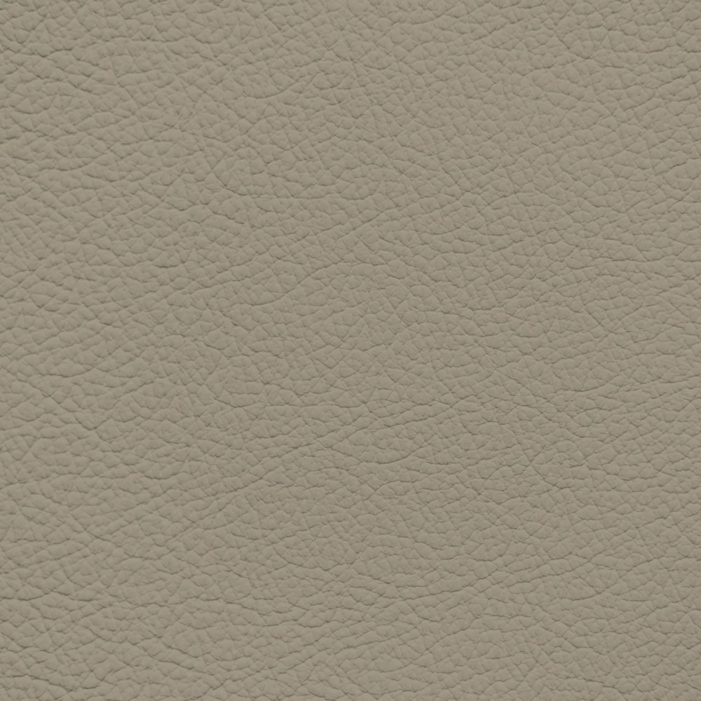 Jaguar Bahama Beige Leather Dye