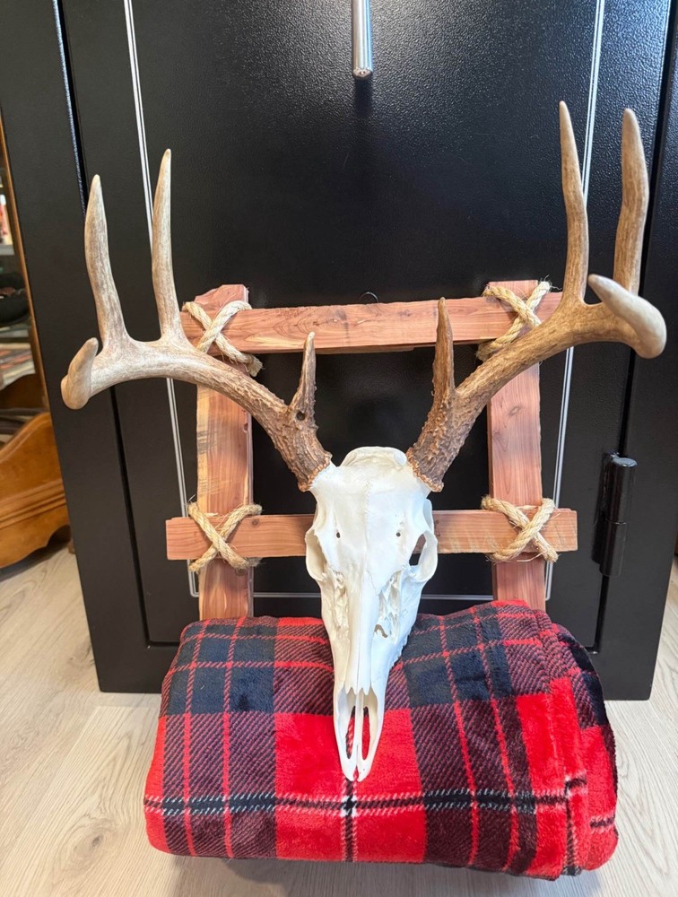 Solid cedar wood taxidermy backpack mount deer plaque antler pack