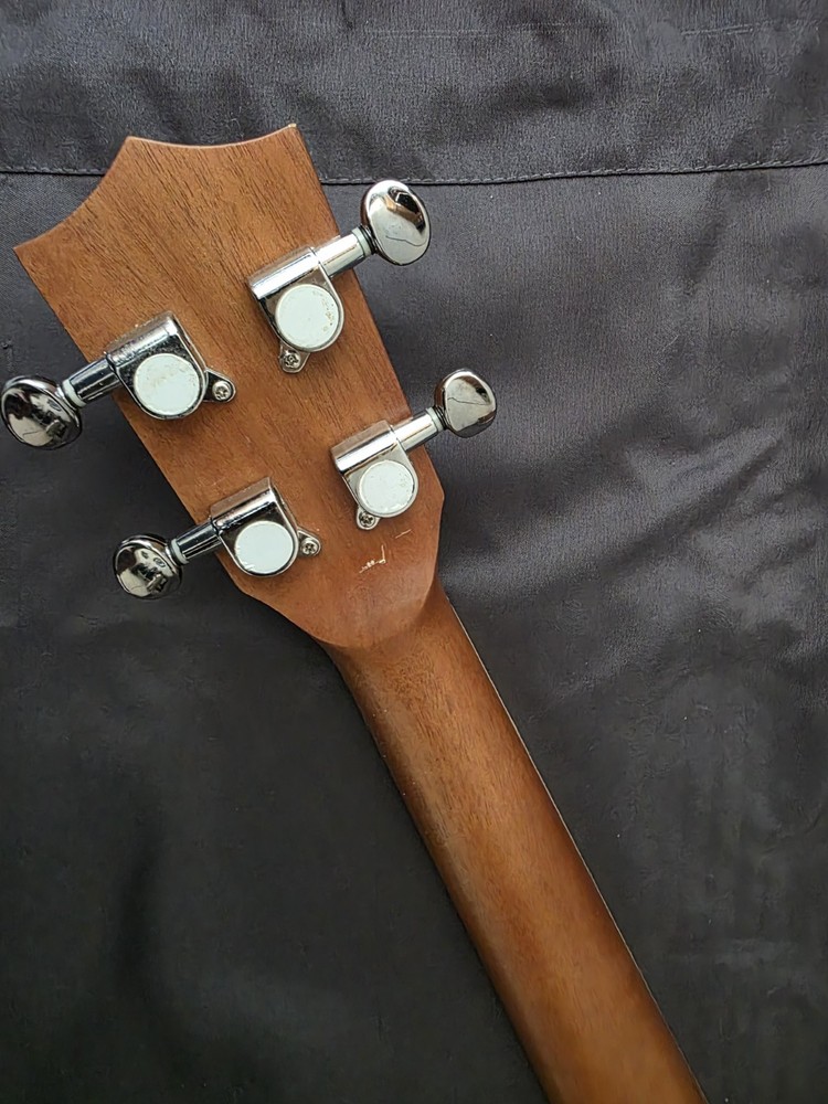 Irin Small Banjo 4 String Solid Body Brown Wood See Disc.