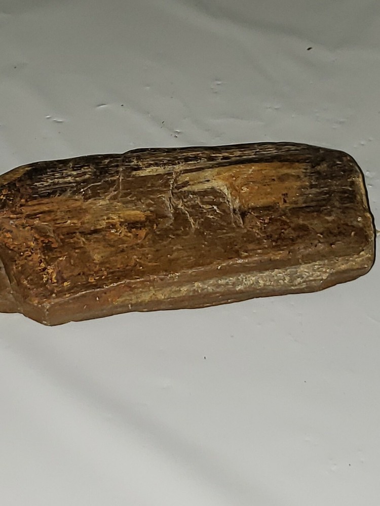 Petrified wood 4.5 inches long