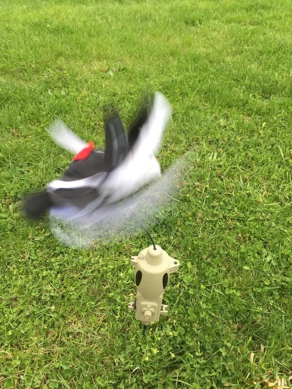 PD200 Stand Alone Electronic Predator Decoy