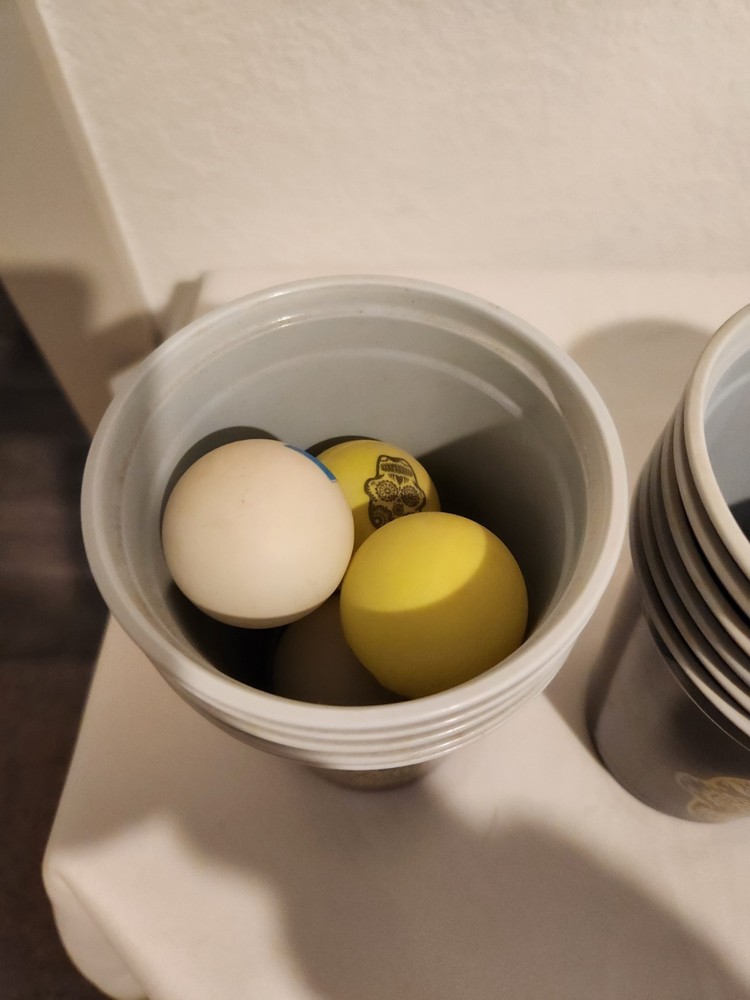 Skull Beer Pong Set