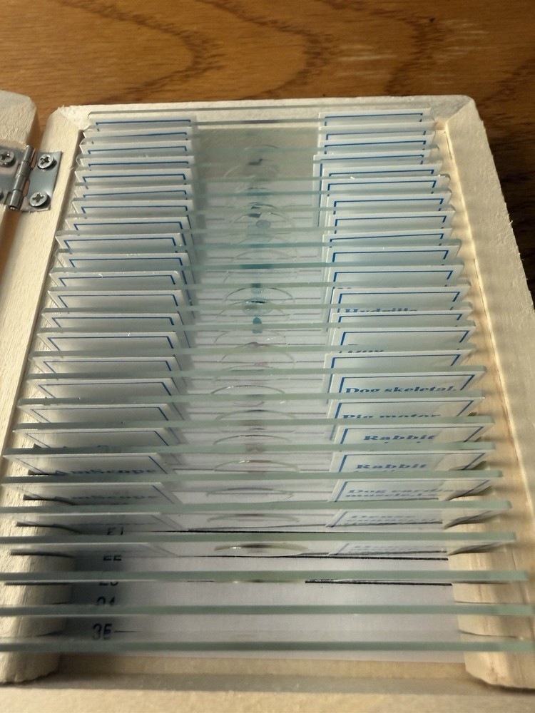 Amscope 25 Prepared Biology Microscope Slides NEW