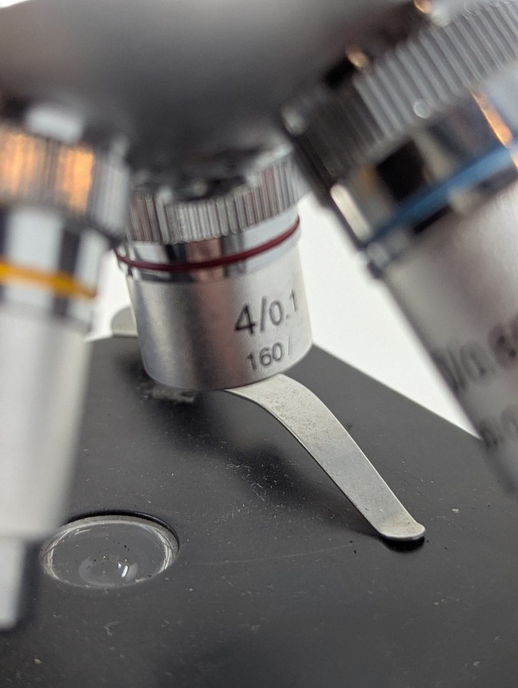 Wards Essentials Standart Compound Microscope With 2 Objectives