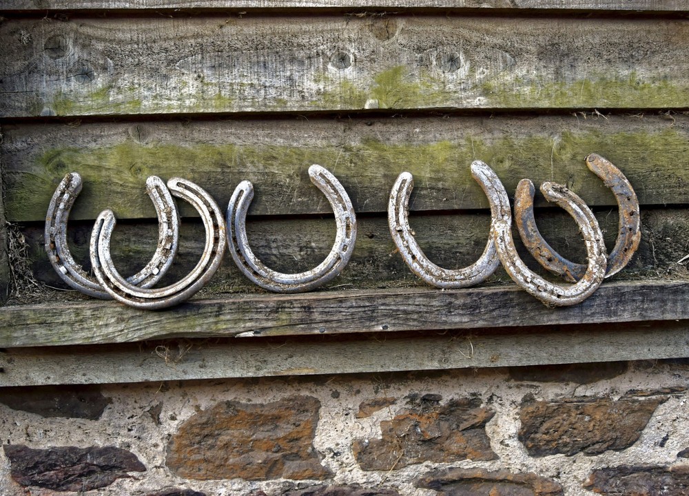 Authentic Worn Horseshoe in Original Color