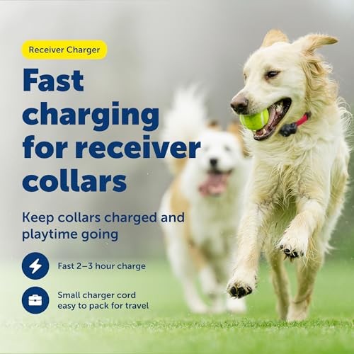 Receiver Charger - Fast Charging Collar Cable - USB USB Charging Cable
