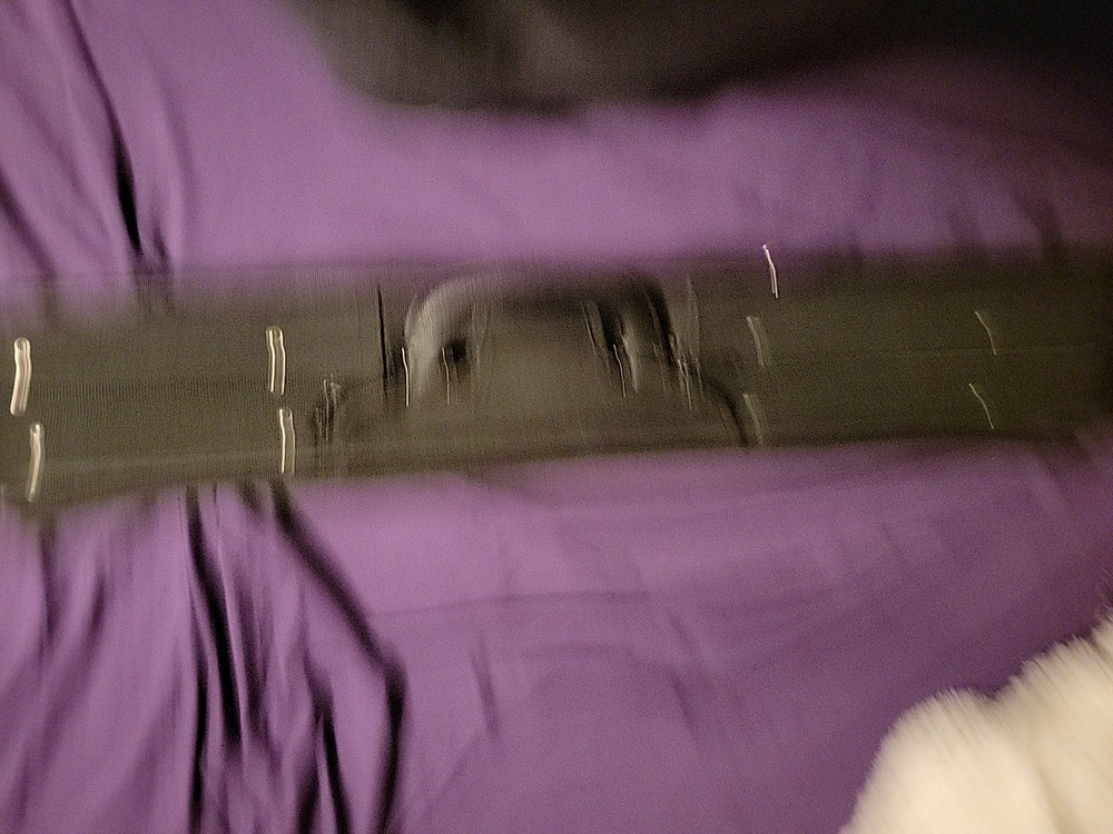 Eastman Strings 3/4 Violin Case