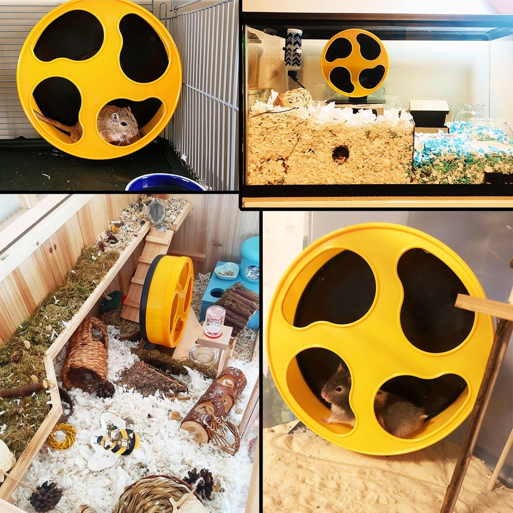 Moon Runner 9" Regular Wheel - Pet Exercise Wheel