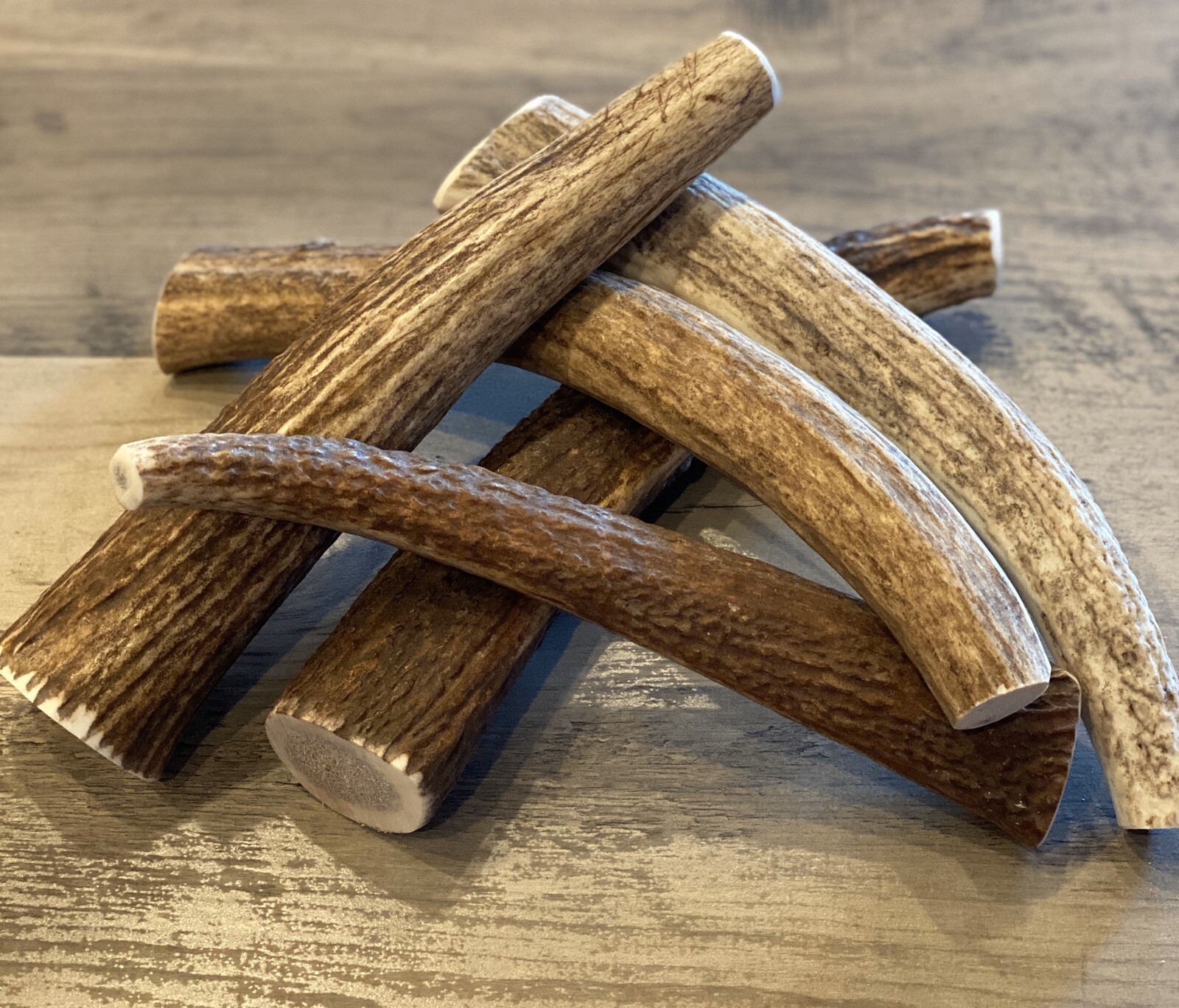 X-LARGE Elk/Deer Antler Premium Dog Chew (1pc) **OREGON ANTLER WORKS**