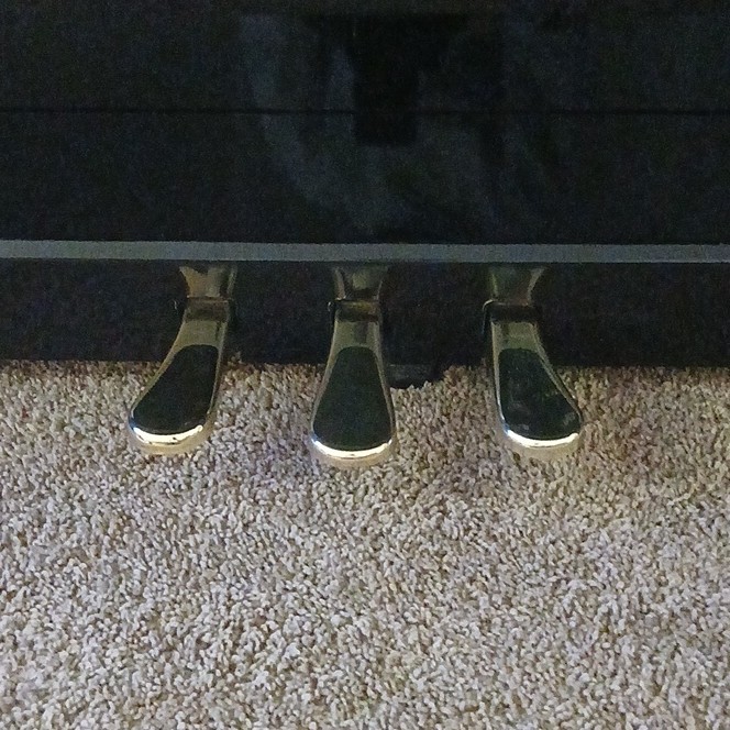 Williams Overture 2 88-Key Digital Piano with 3 Pedals, Black